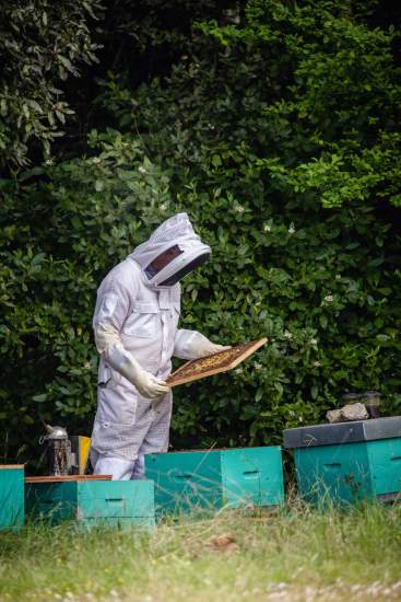  La Ferme 1544 · Producteurs locaux d’Angelus · Saint-Loubès