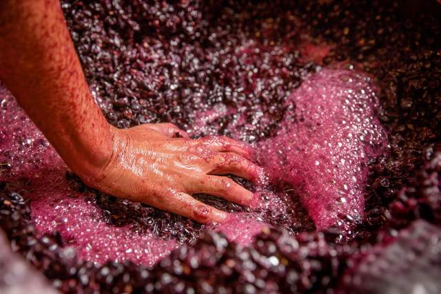 La Ferme 1544 · Producteurs locaux d’Angelus · Saint-Loubès